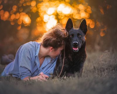 Perché educare il cane?