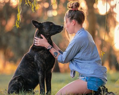 Il tuo cane può!